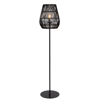03845/81/30 03845/81/30